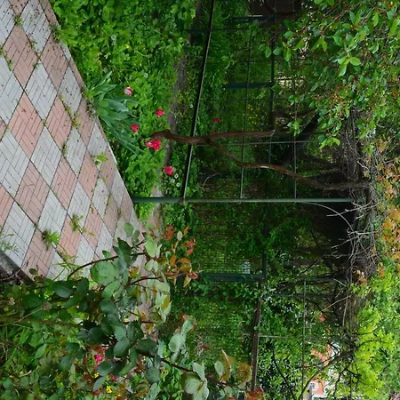 Private House Odessa