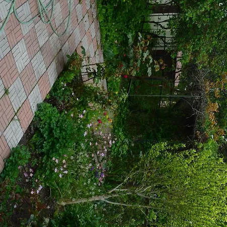 Private House Lejlighed