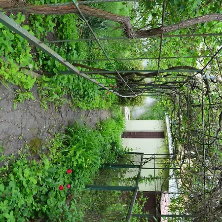 Lejlighed Private House *